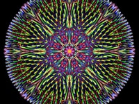vantroon avatar