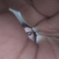 vihand22 avatar
