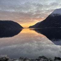 vikingcatbisexual avatar