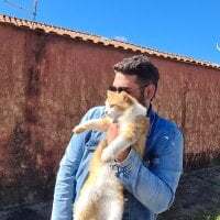 vinic777 avatar