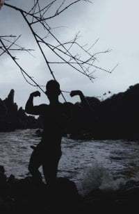 vs0509 avatar