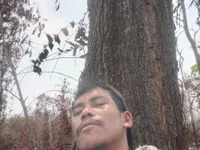 wahanadionisius avatar