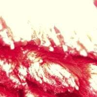wberat21 avatar