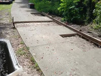 whitestallion529 avatar