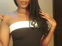 wildcatie avatar