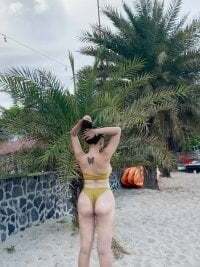 wildest_fantasy avatar