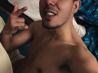 willasilva avatar