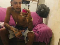 willoliveira11 avatar