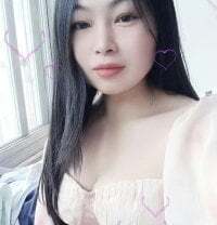 xinyue-asia avatar