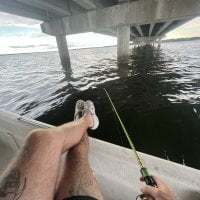 youngandhung3263 avatar