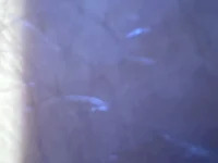 youngcock649 avatar