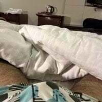 your-hugehard-ashi avatar