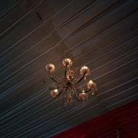 yourpussylover_20 avatar