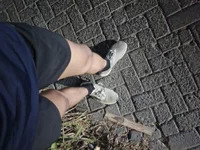 zz4357 avatar