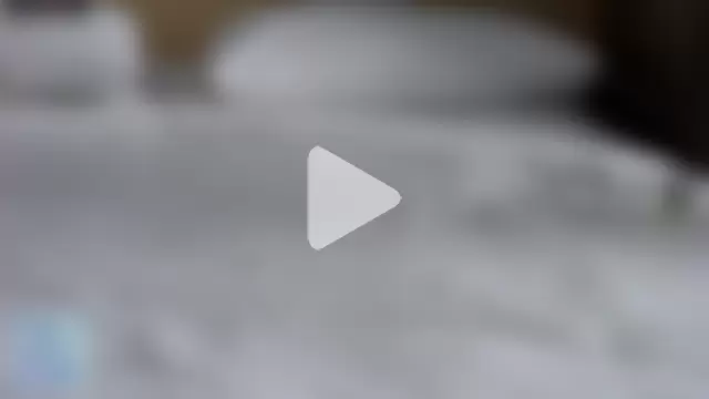 -Anal-Queen- photo 10