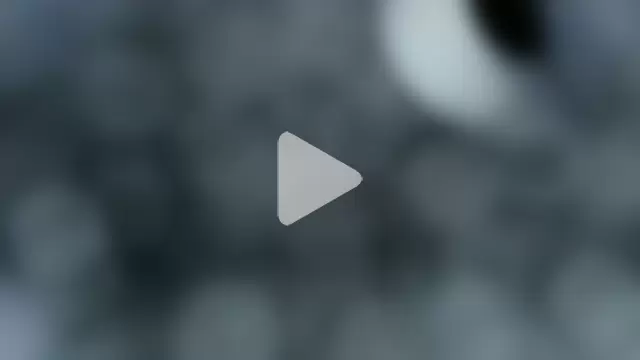 0815lukas2024 photo 6