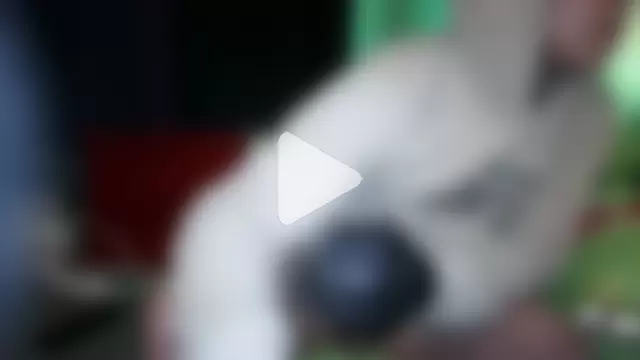 0815lukas2024 photo 2