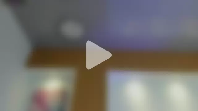 1Sloppy_Fox4 photo 7