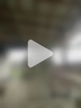 32XRedBeard photo 12