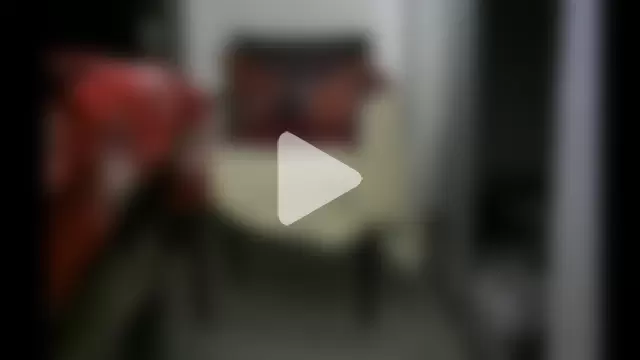3LEGSSS photo 10