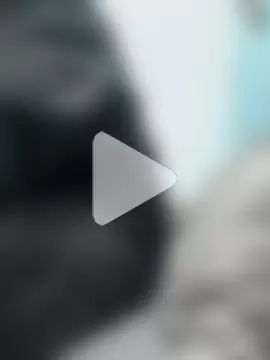 81strangerlife photo 2