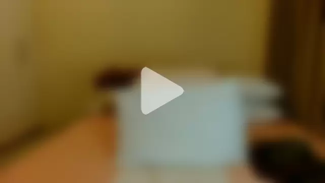 ALEXABOUJEE95 photo 12