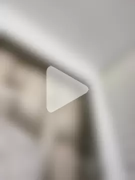 ALISSON_FOXXX1 photo 25