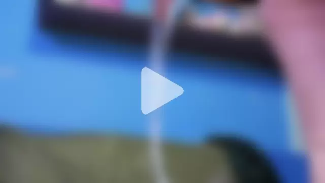 ANEVANS2 photo 6