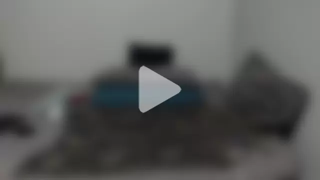 ANGELINE600 photo 12