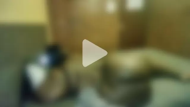 ASSQUEEN37Xx photo 12