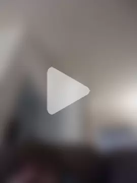 AceticPinscher photo 26