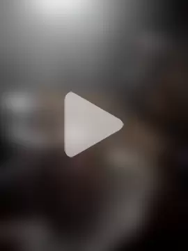 AceticPinscher photo 14