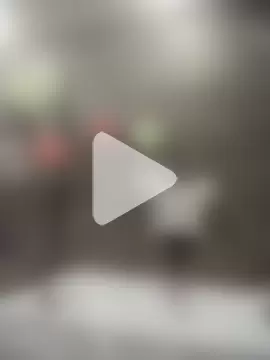 AceticPinscher photo 10