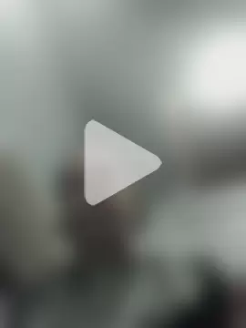 AceticPinscher photo 7