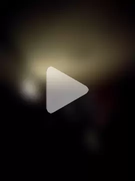 AceticPinscher photo 6