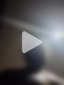 AceticPinscher photo 13