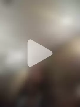 AceticPinscher photo 12