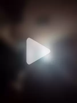 AceticPinscher photo 9