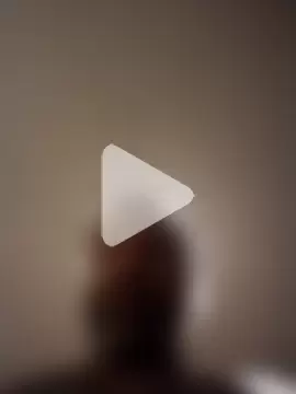 AceticPinscher photo 1