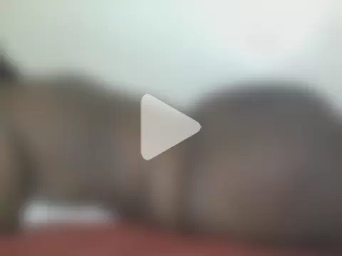 African_Bigjuicyass photo 1