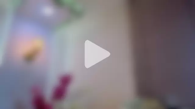 AfroditaWild photo 27