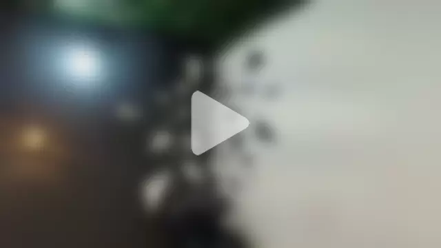 AgataThompson_ photo 20