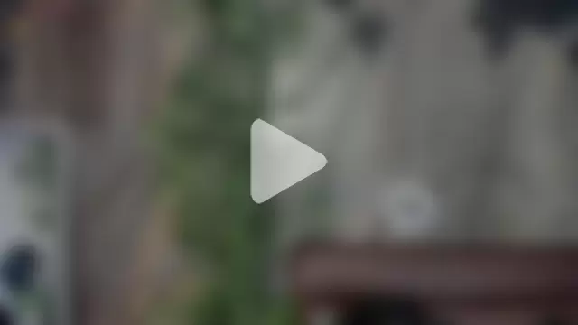 Alahia_Dangelo photo 18