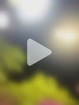 Alejand276765 photo 10