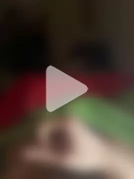 Alessandro_478 photo 16