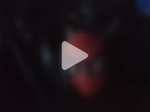 Alexander4789 photo 5