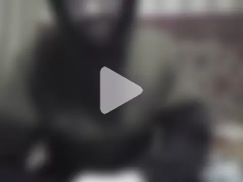 AlferezzSolvajo photo 28