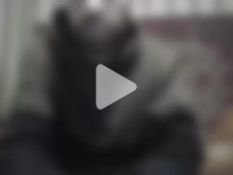 AlferezzSolvajo photo 25