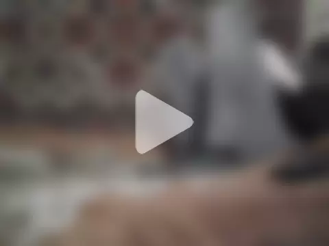 AlferezzSolvajo photo 22