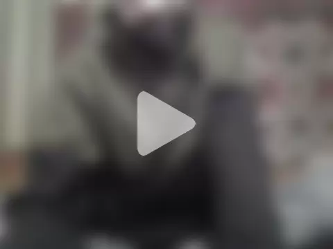 AlferezzSolvajo photo 16